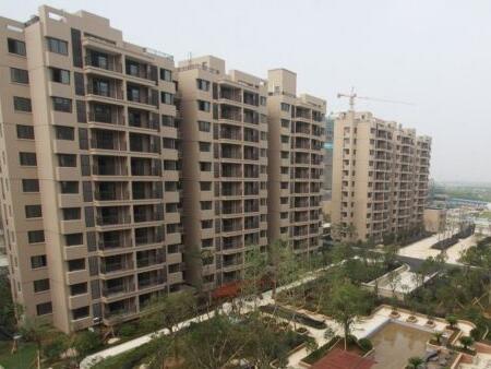 年龄大的人能买移民安置房吗?购买什么限制?